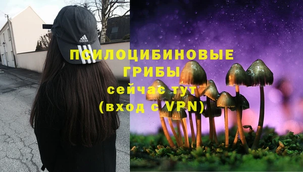 СК Болохово